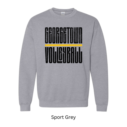 Retro Georgetown Volleyball